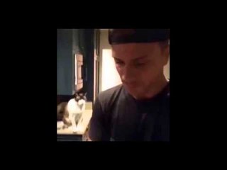 Cat screaming weird 5 minutes loop