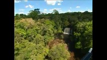 What Would Happen if the Amazon Rainforest Disappears?