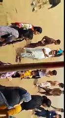 Crocodile attack surprises zoo keeper