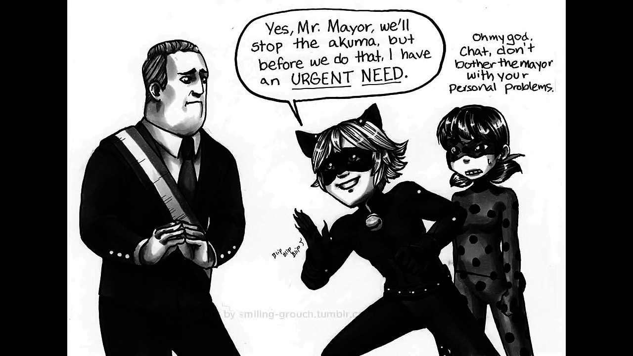 Poor Chat (Miraculous Ladybug Comic #15)
