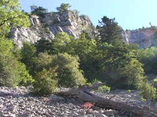 Boucle du Grand Creux 1200m de St-Agnan-en-Vercors 26420
