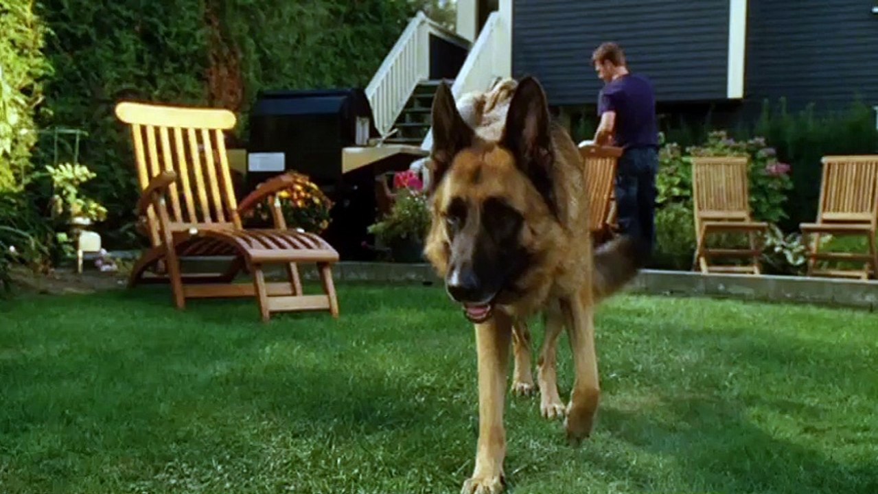 Comme chiens et chats : La revanche de Kitty Galore  VF (2)