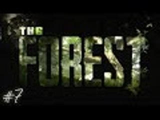 The Forest COOP Sorozat - #7