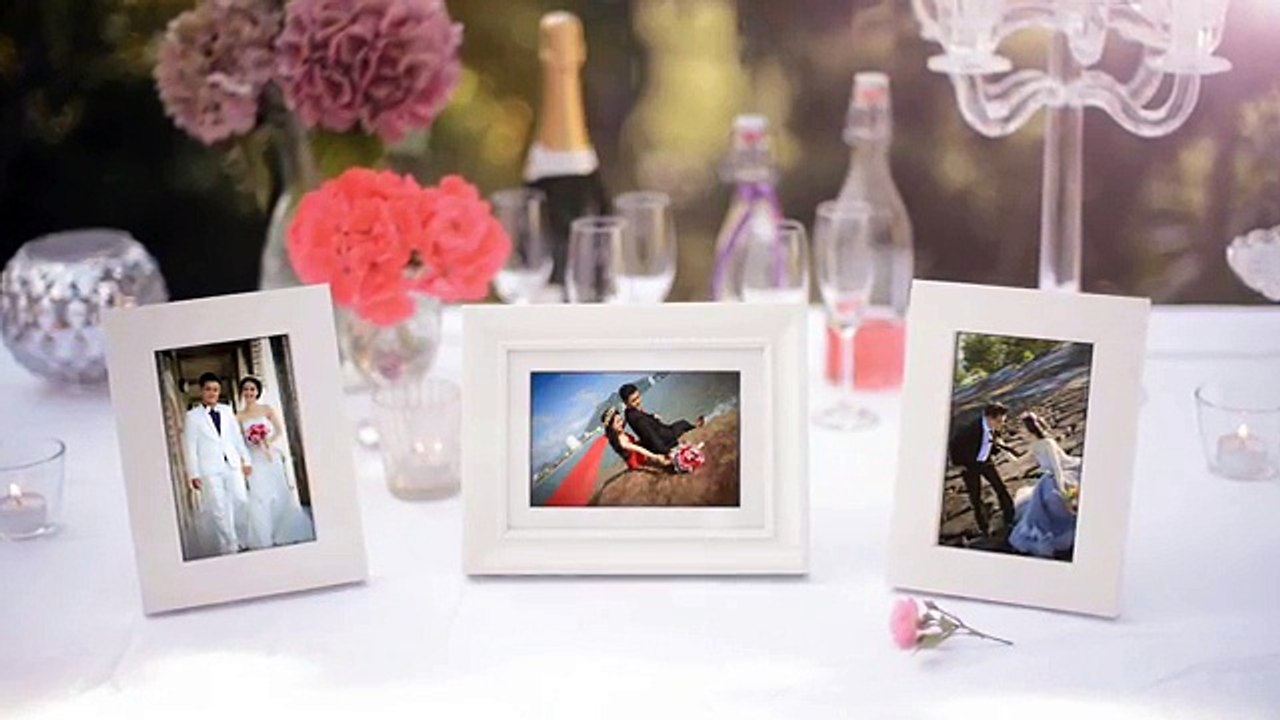 The Wedding Library Videohive White