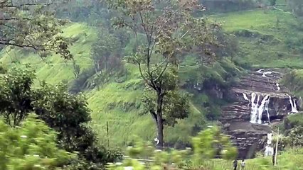 03 August 2016. Nuwara Eliya, Sri Lanka.  Scenic Train Trip (Part 2 of 2).