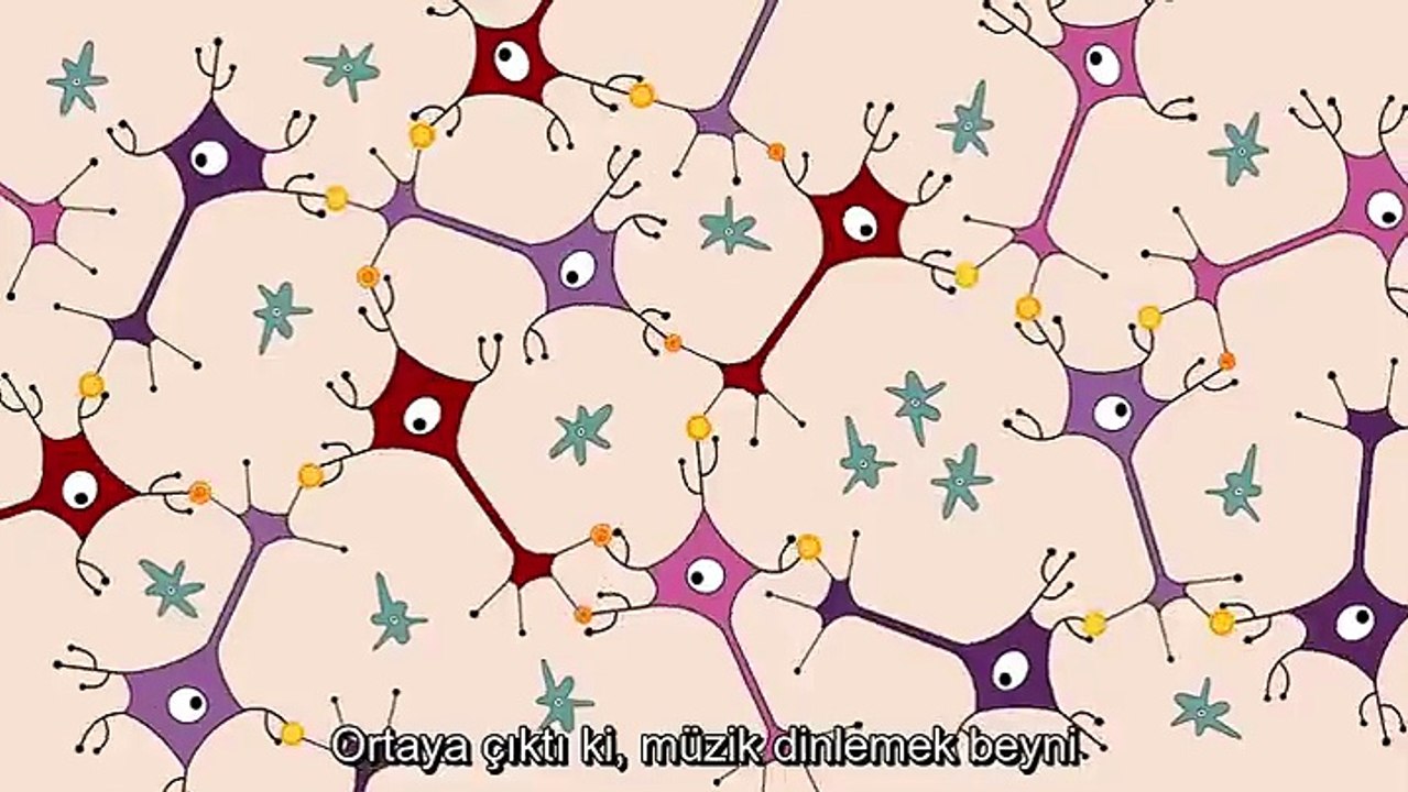 Enstrüman Çalmak Beyne Etkisi