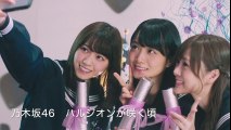 乃木坂46　ハルジオンが咲く頃【DTM Cover】