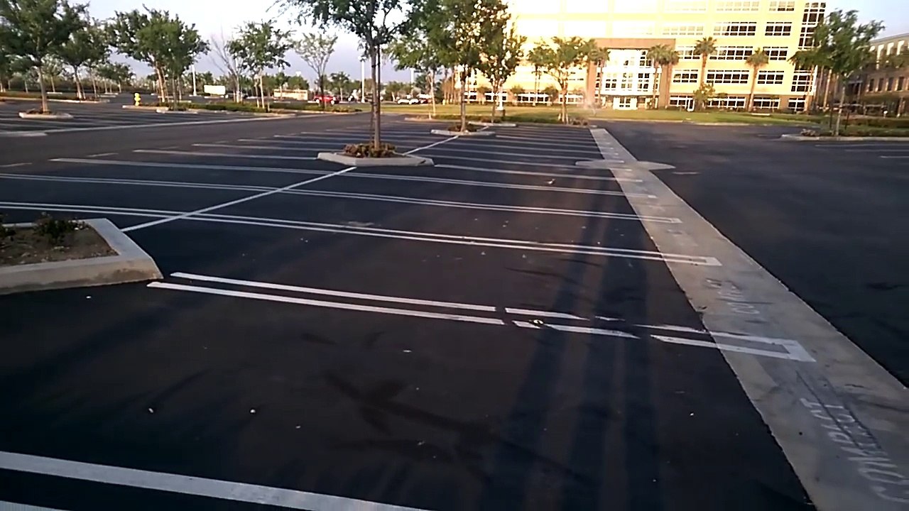 Ce bébé oiseau sauvé puis relaché retourne voir ses parents