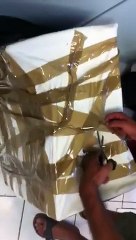 Des chatons vivants jetés dans un carton