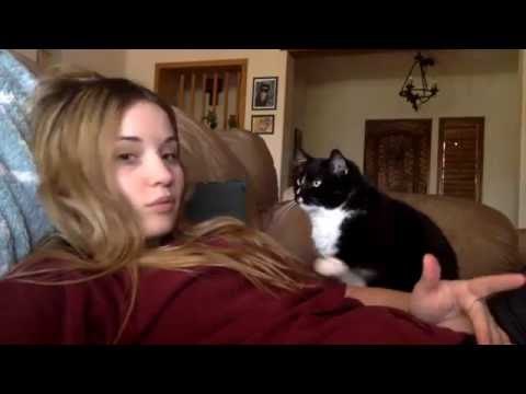 This Cat Shows Its Owner Just How Much It Enjoys Being Petted