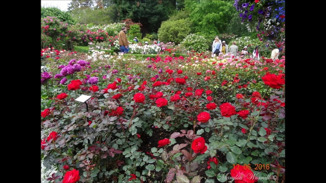Butchart Gardens 3 (2016)