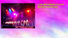 Lady Marmalade Concert Band/harmonie Set