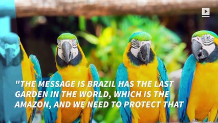 Getting ready for Rio! What to expect to see at the opening ceremony