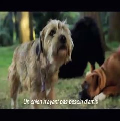 Mon Chien Ce Heros VOST