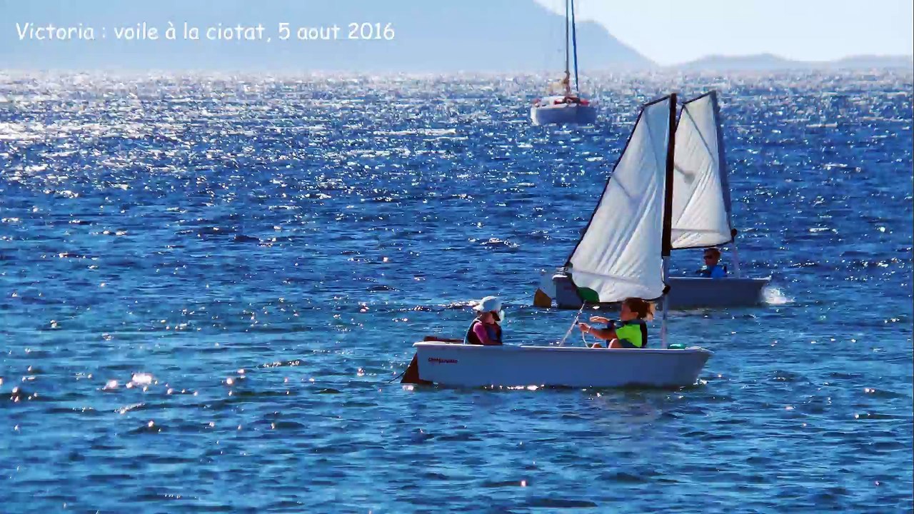 aout 2016, à la barre