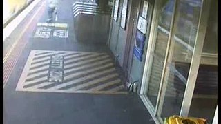 Ticket inspectors use excessive force - Incident 1