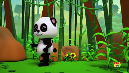 Bao Panda | ringa ringa roses | nursery rhymes | kids songs | baby videos