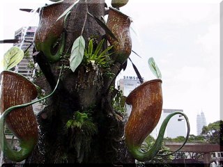 emKL - fontana Kuala Lumpur Malaysia 2005