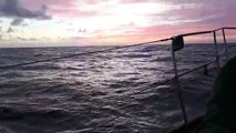 Sunset sailing in the Atlantic - Sailing on Wild Goose