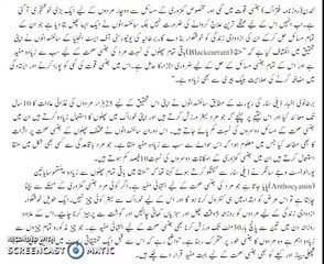 Best Foods For Mens Health