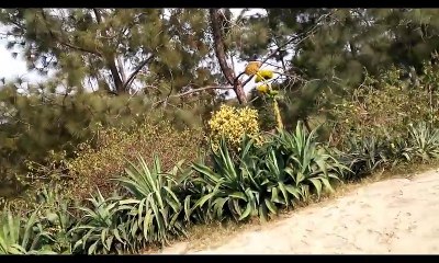 Whats Happening in Parks of Pakistan