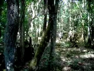 ASSAUT - 22/07/2007 - Nonville - Vue panoramique du terrain