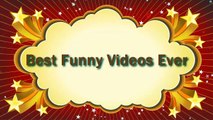 Best Funny Videos Ever | Best Funny Videos 2016 | Funny Videos