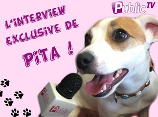 L’interview exclusive de Pita, la chienne de Nabilla  !
