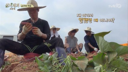 고구마 마저 잘캐는 유해진, 여기 살았던게 틀림없어!