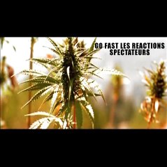 Go fast- Réaction du public