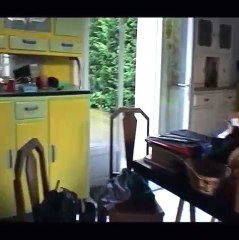 J&#039;irai dormir à Hollywood : Première.fr est allé dormir chez le réalisateur (2)