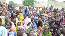 Nigeria: Catastrophic Malnutrition in Borno State