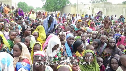 Nigeria: Catastrophic Malnutrition in Borno State