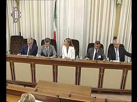 Roma - Fenomeno migratorio, audizione Orlando (02.08.16)