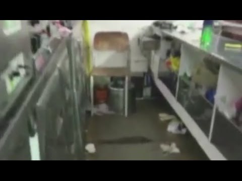 Abruzzo - Nas sequestrano 2,5 tonnellate di alimenti in locali estivi (05.08.16)