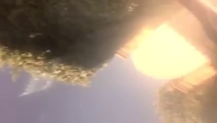 هو ده مستوى الانحطاط الاخلاقي اللي وصلنا اليه ويقولك بحب اشارك الناس لحظات السعاده