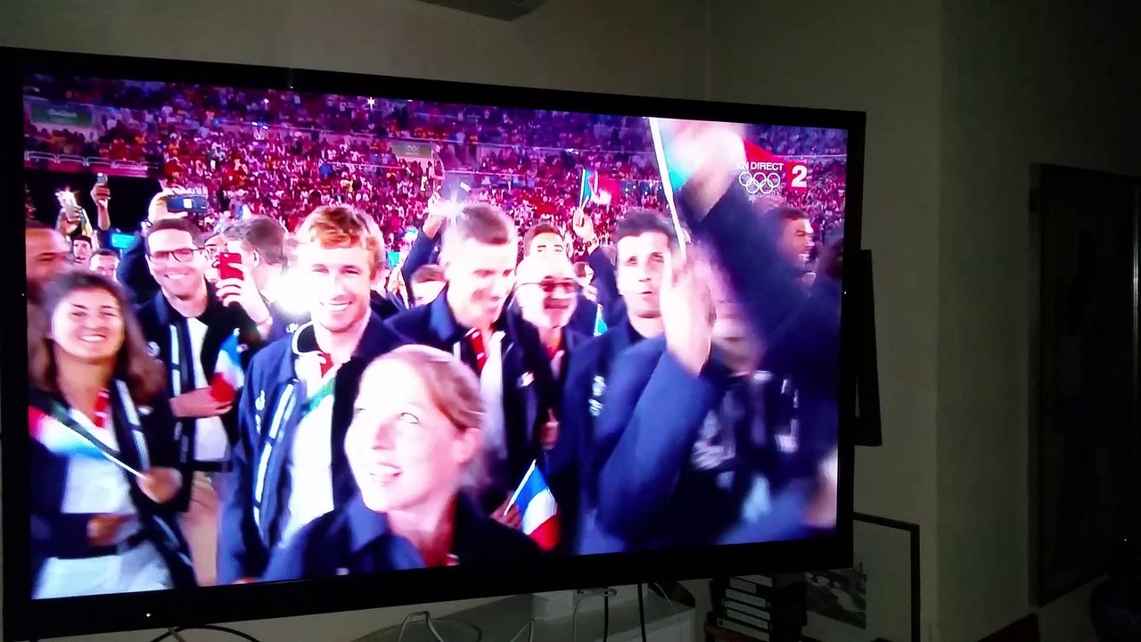 delegationfrance2016