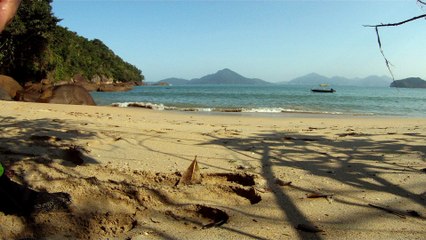 Vamos Mergulhar, navegar, Farol, nas ondas de Ubatuba, Litoral Norte, Brasil, 2016, mares bravos, Marcelo Ambrogi, (21)