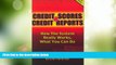 Big Deals  Credit Scores and Credit Reports: How The System Really Works, What You Can Do (Second