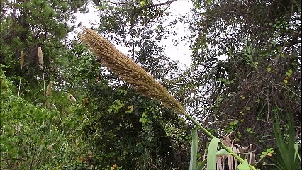 life a wonderfull journey