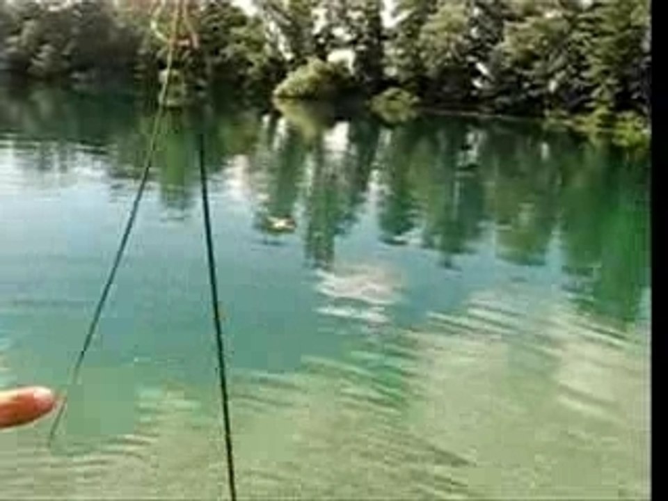 Peche a la carpe