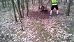 Un mouflon piégé dans un arbre sauvé par un jogger