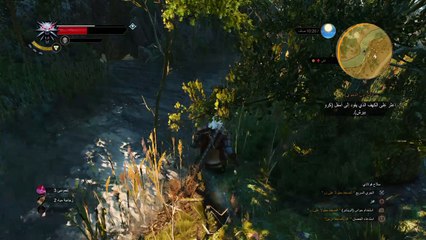 The Witcher 3: Wild Hunt - exploring
