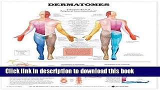 Books Dermatomes Anatomical Chart Full Online