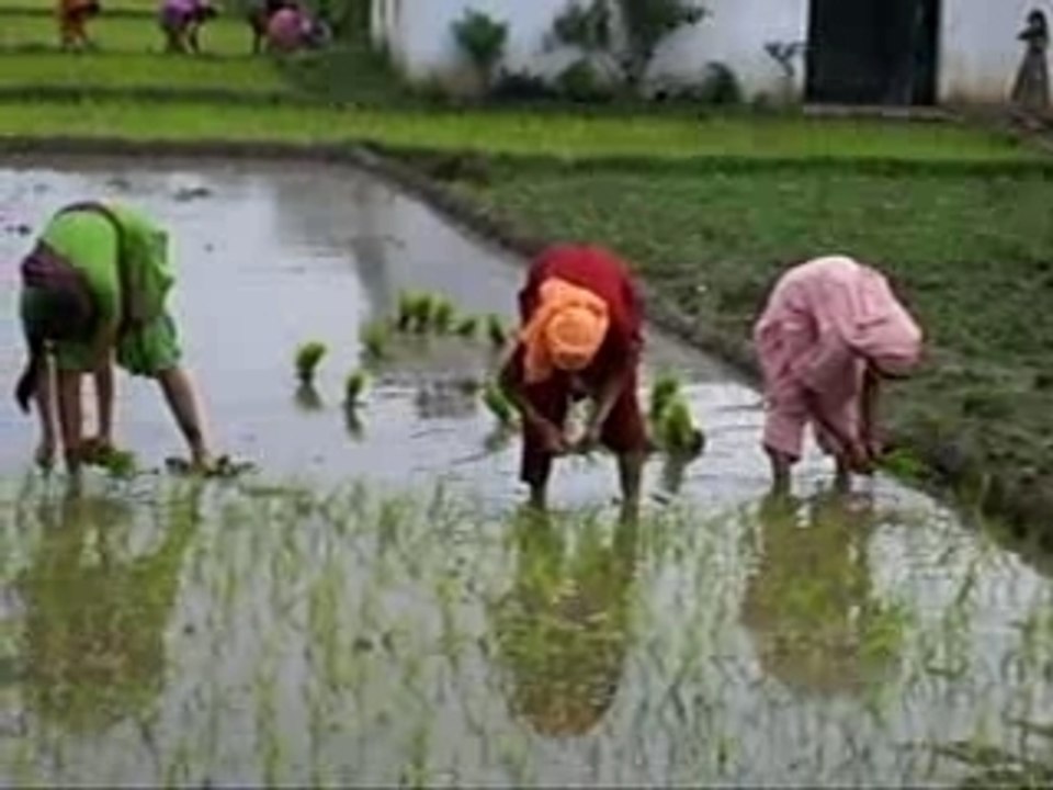 Ca cultive et ca chante!!