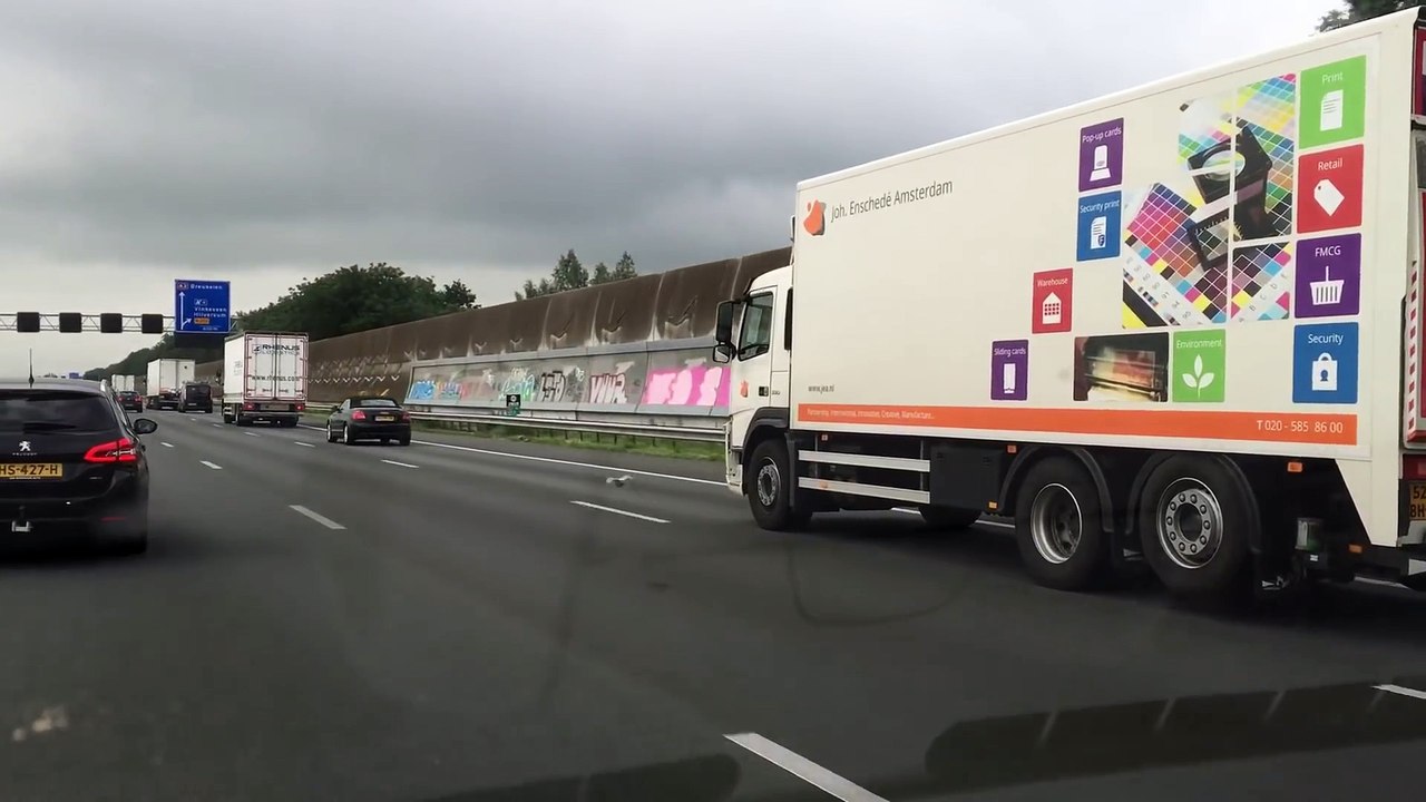 Un pigeon qui vole sur une autoroute