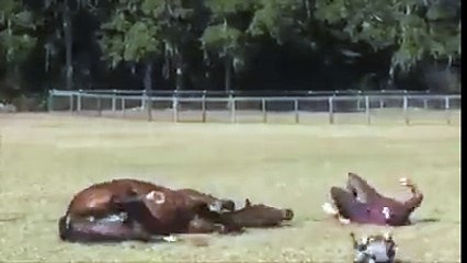 Herkese iyi hafta sonları :)