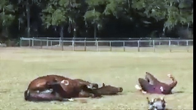 Herkese iyi hafta sonları :)