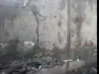 des jeune gens aide aide la commune