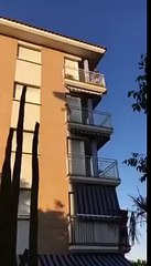 Dog jumps off balcony where he was held prisoner in the blazing sun